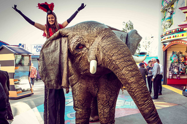 Performers at Luna Park
